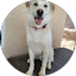 Profile photo of Jane Hart
