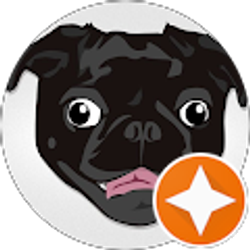 Profile photo of Pug Fanatic