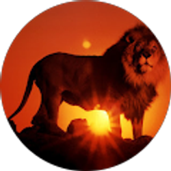 Profile photo of Darius Bates