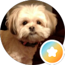 Profile photo of Bonnie Wilson