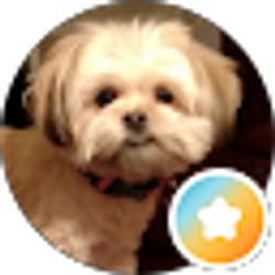 Profile photo of Bonnie Wilson