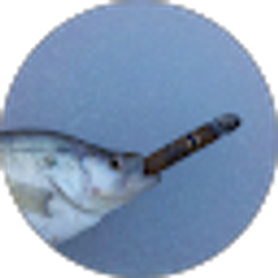 Profile photo of Chad Pierce