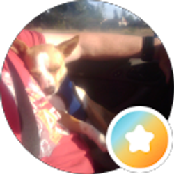 Profile photo of Jim Miller