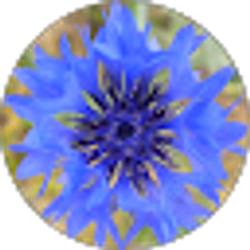 Profile photo of MC Brunner