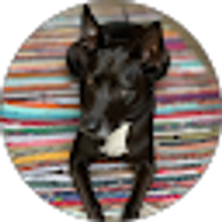 Profile photo of Brooke