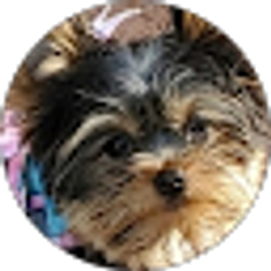 Profile photo of Laura M