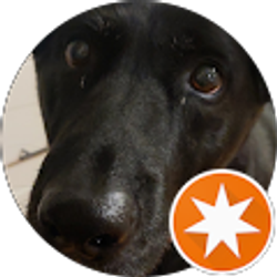 Profile photo of Cris Deeter