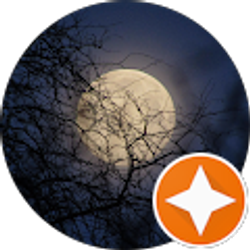 Profile photo of Mynochral Creator