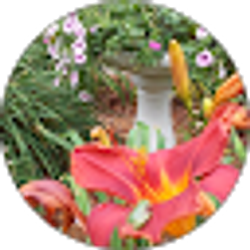 Profile photo of Sherry Schwab