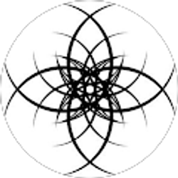 Profile photo of Eric Field