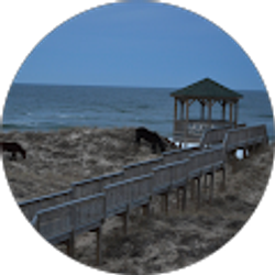 Profile photo of Petra Fist