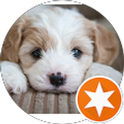 Profile photo of Jason Peterson