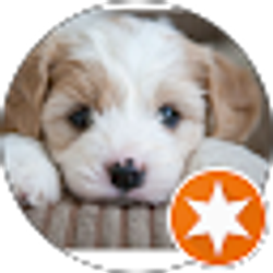 Profile photo of Jason Peterson