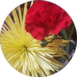 Profile photo of Joana Hernandez