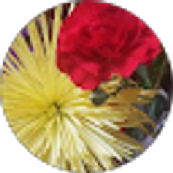 Profile photo of Joana Hernandez