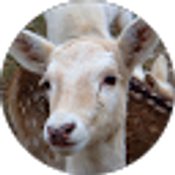 Profile photo of Briah Hagan