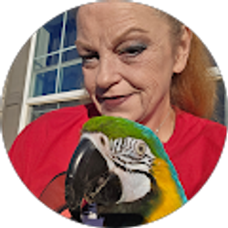 Profile photo of Kat