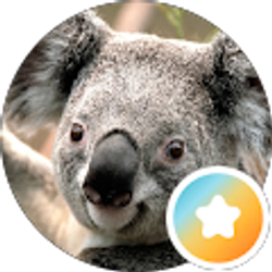 Profile photo of Nancy Higgs