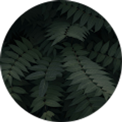 Profile photo of Elaina Sides