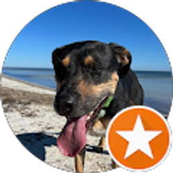 Profile photo of Scott Berlin