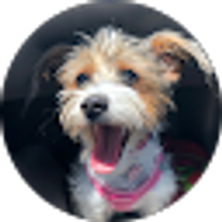 Profile photo of Fujibeefish