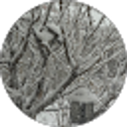 Profile photo of Maricela Ortiz