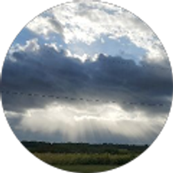 Profile photo of Kenzie Wisdom