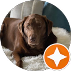 Profile photo of Patti West