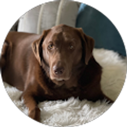 Profile photo of Patti West