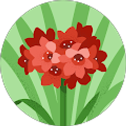 Profile photo of Veronica Paredes