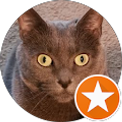 Profile photo of Melissa Light