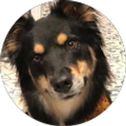 Profile photo of Craig Shinafelt