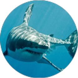 Profile photo of Larisa Benitez-Morgan