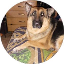 Profile photo of Jordan Fernandez