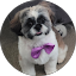 Profile photo of Paula Chavis