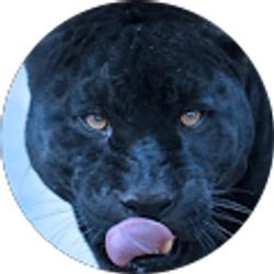 Profile photo of Bridger Stapleton