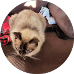 Profile photo of Jackie Hosek