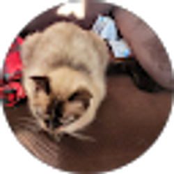 Profile photo of Jackie Hosek