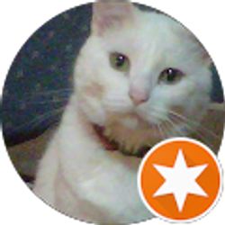 Profile photo of Krystal I