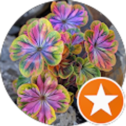 Profile photo of Cooking, Crafts and Cocktails