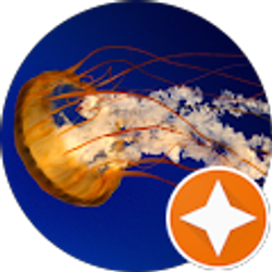 Profile photo of Andy Morris