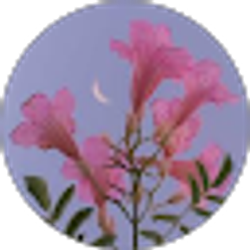 Profile photo of Deysi Coreas