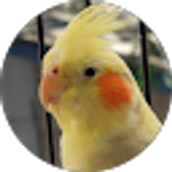 Profile photo of Lydia Buitron