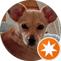 Profile photo of Debbie