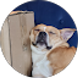 Profile photo of april parham