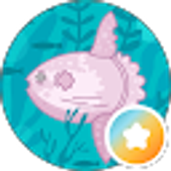 Profile photo of s c