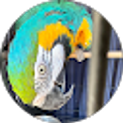 Profile photo of Erandi Rico