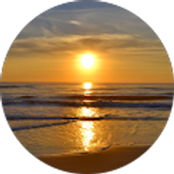 Profile photo of eddie ng