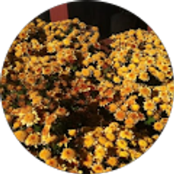 Profile photo of Michelle T