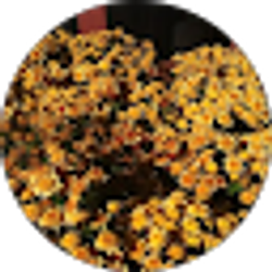 Profile photo of Michelle T